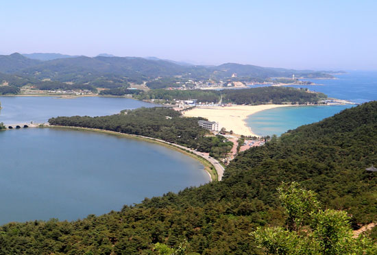 화진포는 호숫가에 해당화가 만발해 붙여진 이름으로 둘레 16km의 동해안 최대의 자연호수입니다. (강원도 지방기념물 제 10호) 넓은 갈대밭으로 둘러싸여 주변경관이 빼어나 예로부터 주변에 유명한 별장들이 많았던 곳으로 지금도 이승만 초대대통령 화진포기념관&별장과 이기붕 부통령별장, 화진포의성(김일성별장)이 역사안보 전시관으로 운영되고 있습니다
화진포해변은 동해안 최북단의 청정 해수욕장으로서 백사장길이 1.7km, 수심 1-1.5m의 느린 경사와 울창한 소나무숲, 맑은 호수, 기암괴석 등 자연풍경이 수려한 곳입니다.
화진포호 & 해변과 연계하여 역사안보전시관, 해양박물관 외에도 자동차로 10여분 정도 이동하면 통일전망대에 동해안 최북단 마을 명파리 등을 둘러볼 수 있다. 명파리에서는 토종돼지고기 요리와 감자 등이 유명합니다. 인근에 대진항에서 회를 즐겨도 좋습니다.